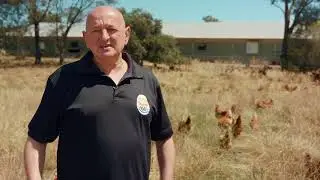 Lucky Chicken Eggs x EnergyAustralia: Sustainable Chicken Welfare [Part 1]