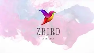 ZBIRD Jewellery