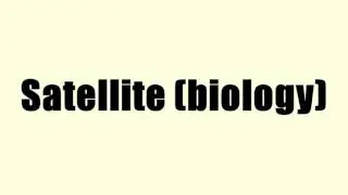 Satellite (biology)