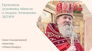Смысл окунания в Крещенскую прорубь. о.Андрей Лемешонок детям.