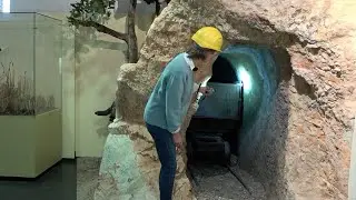 Zeit für Natur im Pfalzmuseum (10) - Raum Nordpfälzer Bergland
