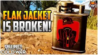 Flak Jacket Is OVERPOWERED In Black Ops Cold War...