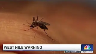 West Nile virus survivor shares story of infection she first thought was a stroke
