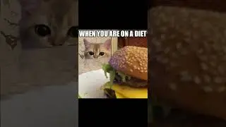 Funny memes Part 4 #funny #memes #shorts #shortsvideo #laugh