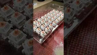 Been lubing my holy panda switches! #shorts #mechkeys #keycaps #mechanicalkeyboard #desksetup #pc