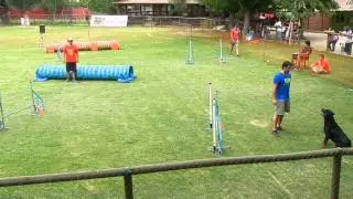 Rottweiler Agility, Aragon