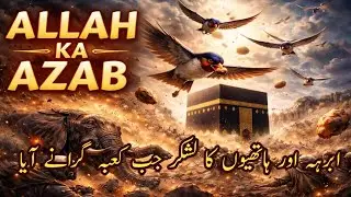“ALLAH Ka AZAB | Ababeel Birds Ne Abraha Ki Fauj Tabah Ki | ILM AUR NOOR”