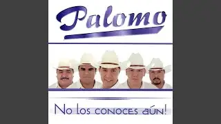 No Me Conoces Aún (Ranchera Version)
