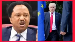I PITY NIGERIANS TH PRAISING TRUMP'S ACTION IN VENEZUELA,  SHEHU SANI REVEALS CONSEQUENCES 
