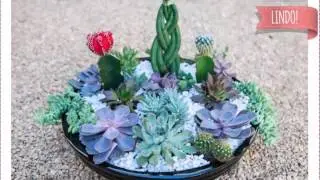 DICAS DO RANCHO -  como fazer mini Jardim de Suculentas