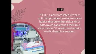 Neonatal Intensive Care Unit | NICU | Neonatal Care | Kangaroo Care - Women & Children Hospital