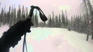 Wolf Creek- Montezuma Bowl to Waterfall Gate 4  3/31/16