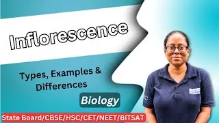 Inflorescence | Types, Examples & Differences (Racemose vs Cymose) | Class 11 Biology