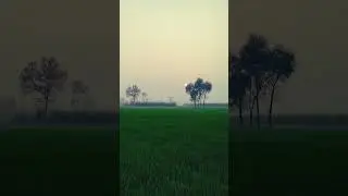 गांव देखा है मेरा #nature #love #desiviilagelifetstyle #farming #viralvideo #youtube #shorts