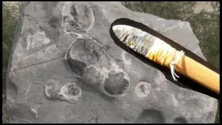 Geology of Michigan's Thumb (Cranbrook Institute of Science)