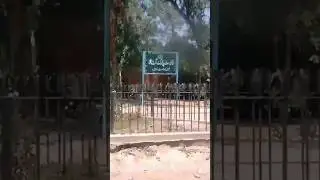 Gattwala Forest Park Faisalabad:#ytshorts #forestpark #travel #banofile