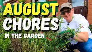 August chores in my Scottish garden