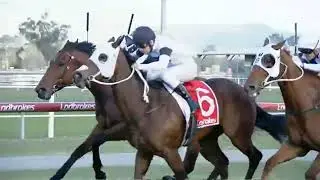 0725 Kilcoy