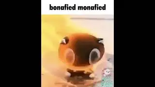 Persona 5 - Bonafied Monafied