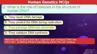Master Human Genetics with MCQs! 🧬🚀 Take the Genetics Quiz Challenge #HumanGenetics #MCQs #Ge
