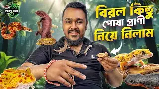 নতুন কিছু এক্সটিক পোষা প্রাণী নিয়ে নিলাম | Most Rare Exotic Pets