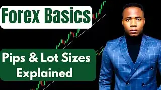 Forex Basics Explained | Pips, Lot Sizes, Leverage & Margin for Beginners