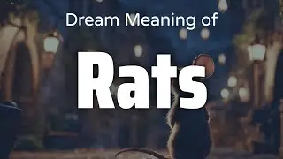 Rats Dream Meaning & Symbolism | Interpretation Psychology