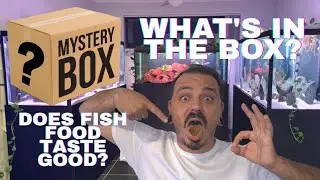 Unboxing New Aquarium Products & Taste Testing Fish Food!