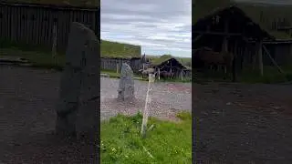 Viking village #iceland #farm