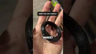 bracelet from the black market 😱