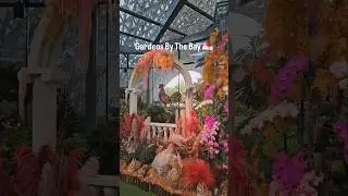 Gardens By The Bay, Singapore 💞🥰#singapore #gardensbythebay #asia #asian #gardens #flowers #gardens