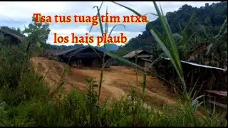 dab neeg mus tsa tus tuag los hais plaub 26-10-2022