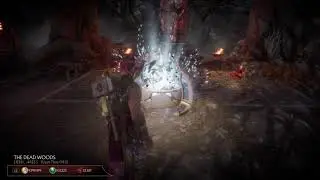 Mortal Kombat 11-Krypt event #43