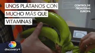 ¿Cargamento de plátanos o droga de contrabando? | Control de fronteras: Europa