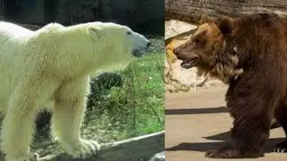 ЗДО√177ЗМР.ПРИРОДА