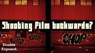 How to shoot red scale.