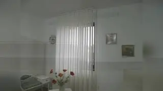 Jaluzele Zi Noapte Elegance Vertisheer 44 220 25
