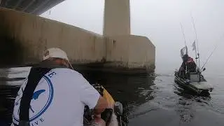 Perdido Pass - Redfish