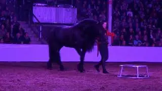 Galaabend der Pferde Leer 2018  Ostfrieslandhalle  Heidi & Abeltje SHOW