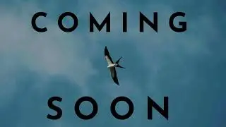 Coming Soon: Conservation Florida's D Ranch Preserve