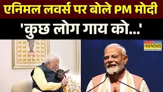 PM Modi On Animal Lovers: एनिमल लवर्स पर क्या बोल गए पीएम मोदी कि लगने लगे ठहाके ! | Hindi News