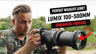 LUMIX 100-500mm &mdash; идеальный зум-объектив для съемки дикой природы (кинематографические кадры!)