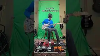 Whisky & Urubore loop #zazenboys #guitar #loop #looper #guitarsolo #asobi #japan #jrock
