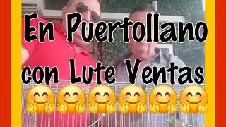 Puertollano LUTE VENTAS 🤗❤️