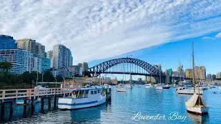 🇦🇺 Walking from Bradfield Park to Lavender Bay / Sydney Harbour Bridge view