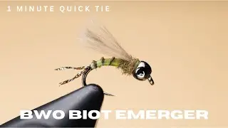 BWO Biot Emerger - 1 Minute Quick Tie