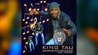 King Tau - Dziphathutshedzo (Amapiano) Prod. RabzaPro