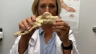 Pediatric Flatfoot