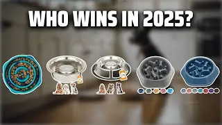 The Top 5 Best Slow Feed Bowls in 2025 - Must Watch Before Buying!