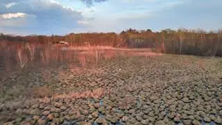 Drone footage of Great Meadows wetland in Arlington, MA